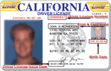 Secondary ID preview