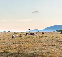 Kenya
