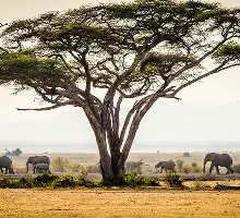 Tanzania