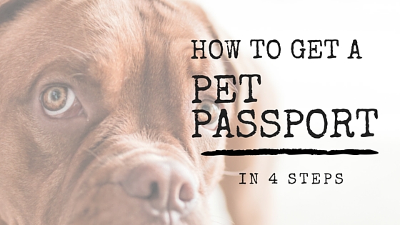 pet passport rules